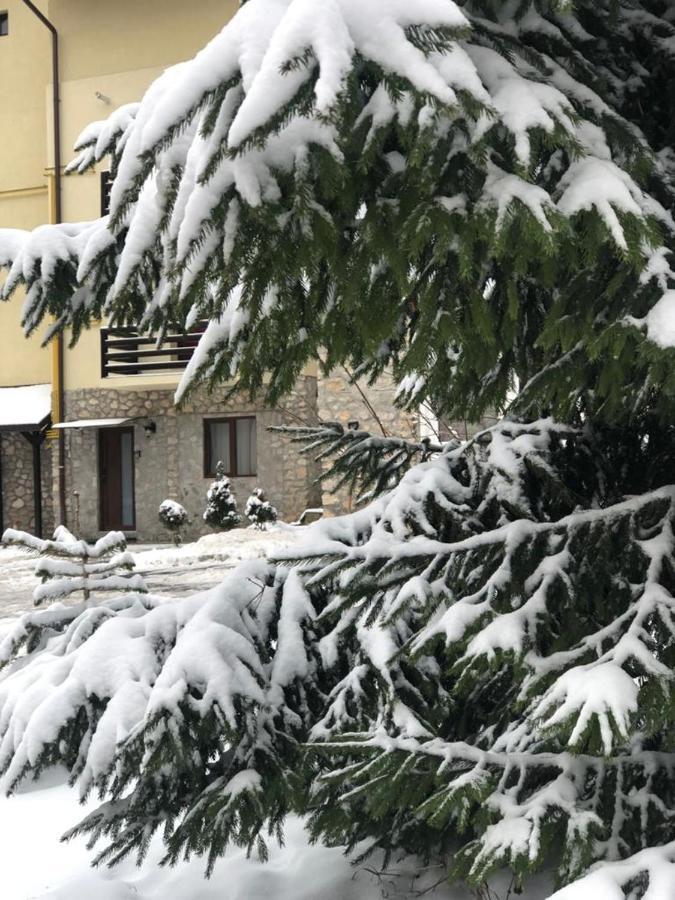 Apartament Nicolle Leilighet Poiana Brasov Eksteriør bilde